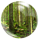 ���h����ѝ ���h����ѝ